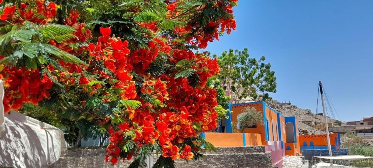 Cataract Nubian Resort Асуан Экстерьер фото